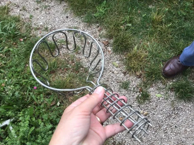 Ancien cueille pommes en fer épais. Art populaire