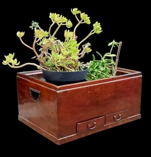 Ancien Hibachi Japonais Asiatique Ancienne Jardinière Intérieur 19 Ème Siècle