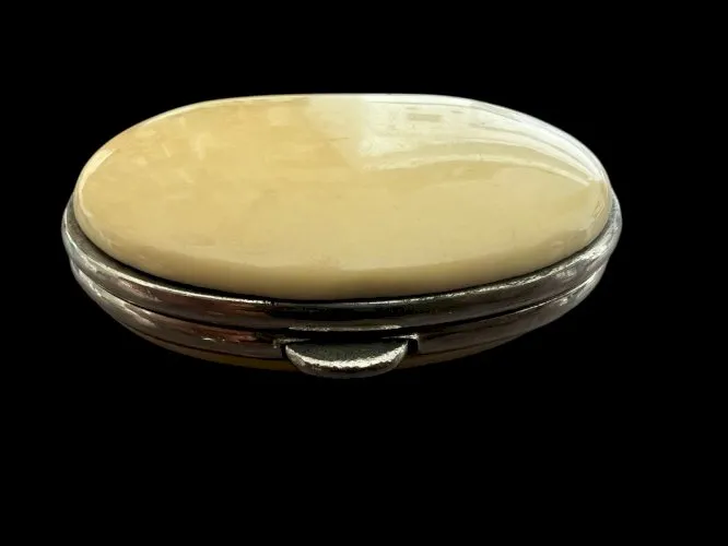 Ancien Porte-Monnaie Galalithe À Soufflet XIXe siècle collection objet vitrine