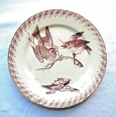 Assiette ancienne Sarreguemines modèle Buffon: Oiseaux, n°4