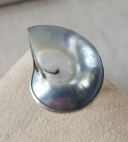 Belle bague ajustable, coquillage nautile, en nacre, résine et argent