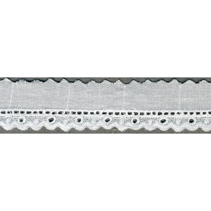 Broderie anglaise 25mm Blanc -