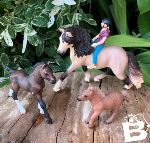 Cheval , poulains et cavalières Schleich