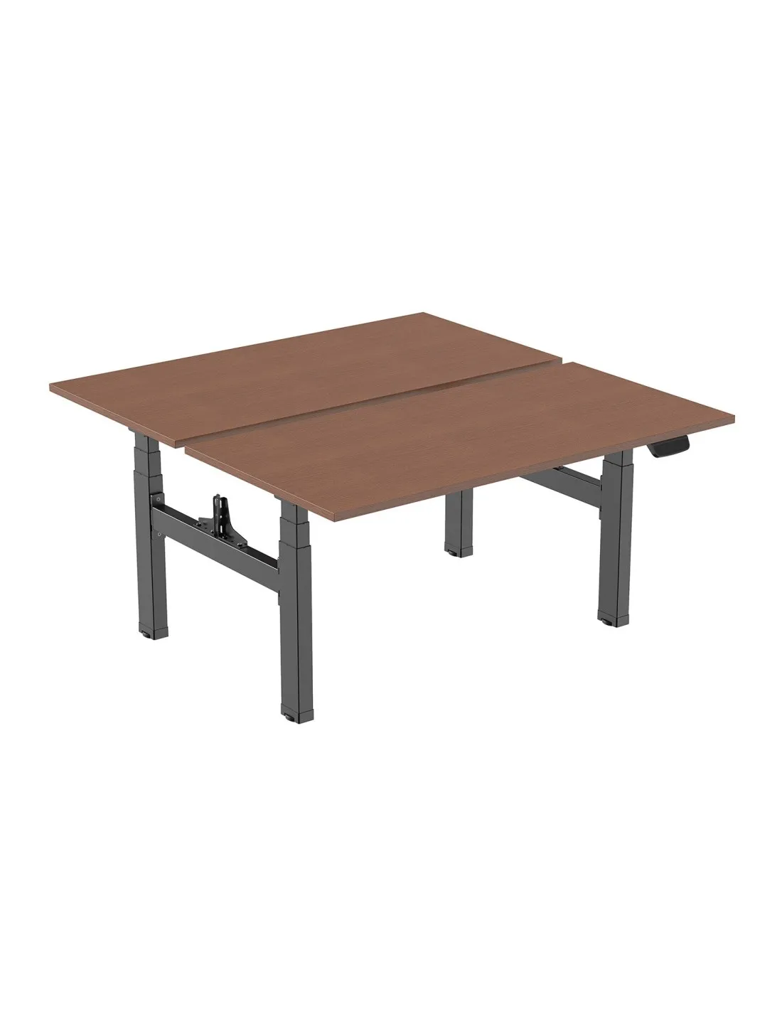 Double bureau motorisé assis-debout 150x75cm Plateaux noyer/Pied noir