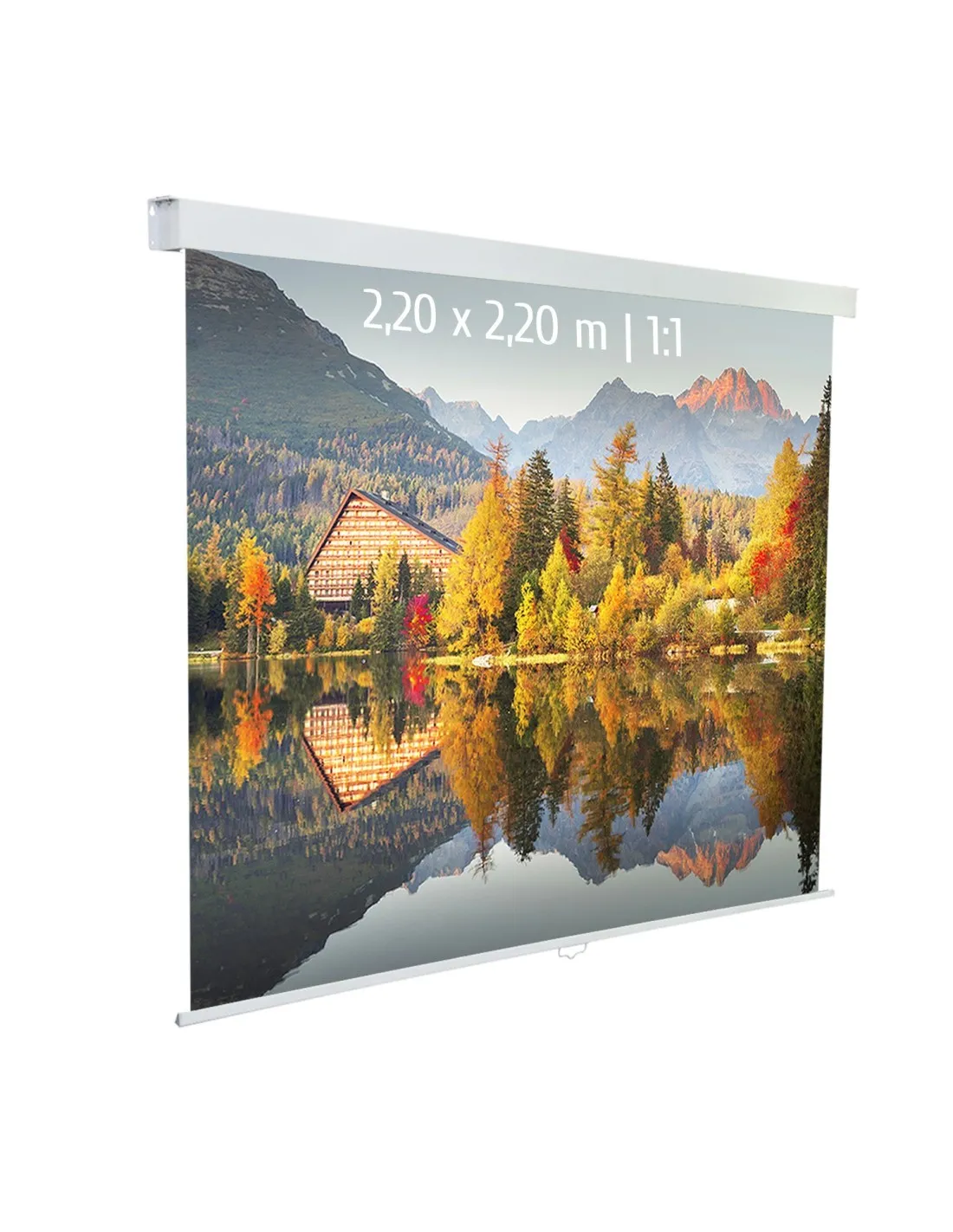 Ecran de projection manuel 2,20x2,20m 1:1