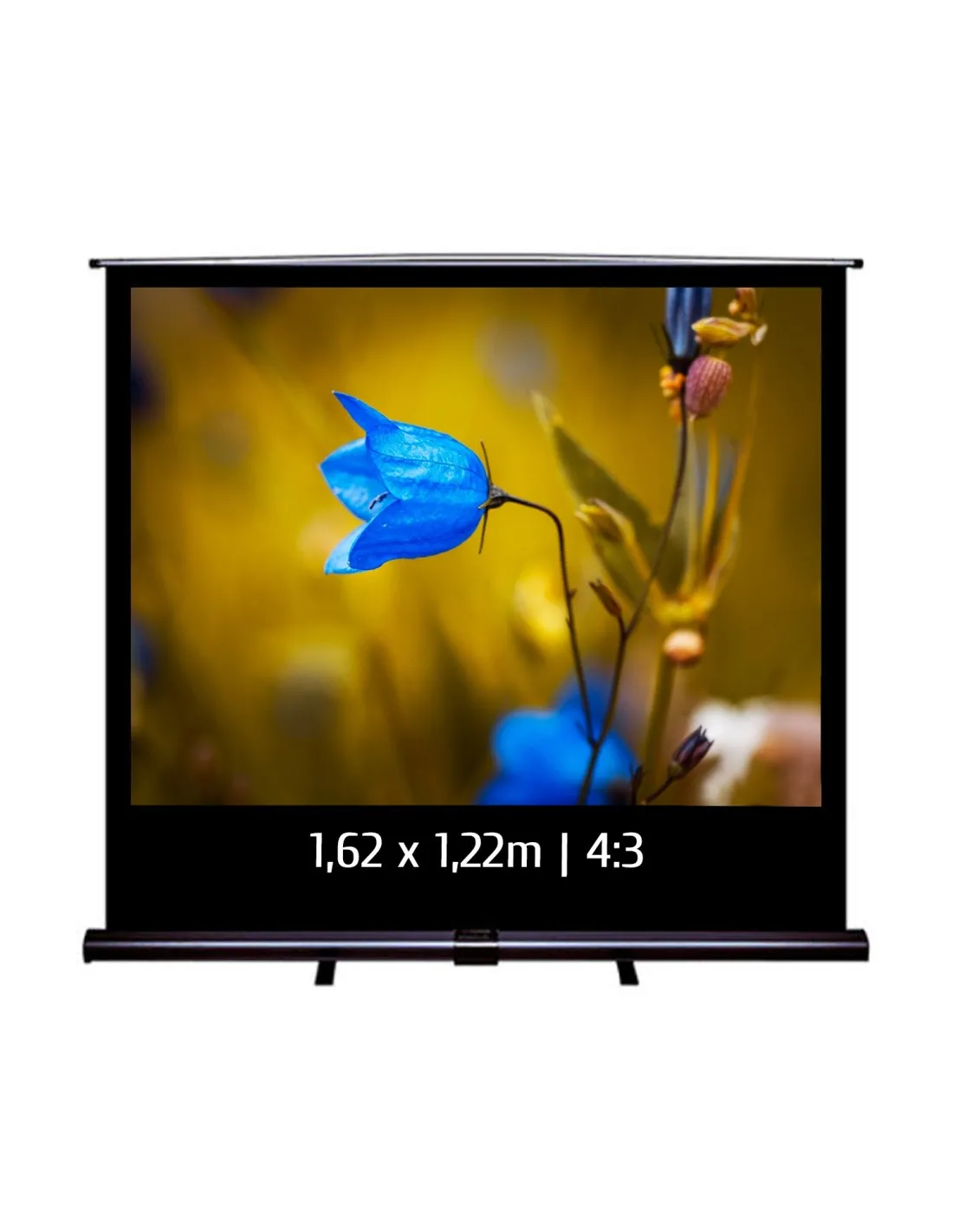 Ecran de projection transportable Pull Up 1,62x1,22m 4:3