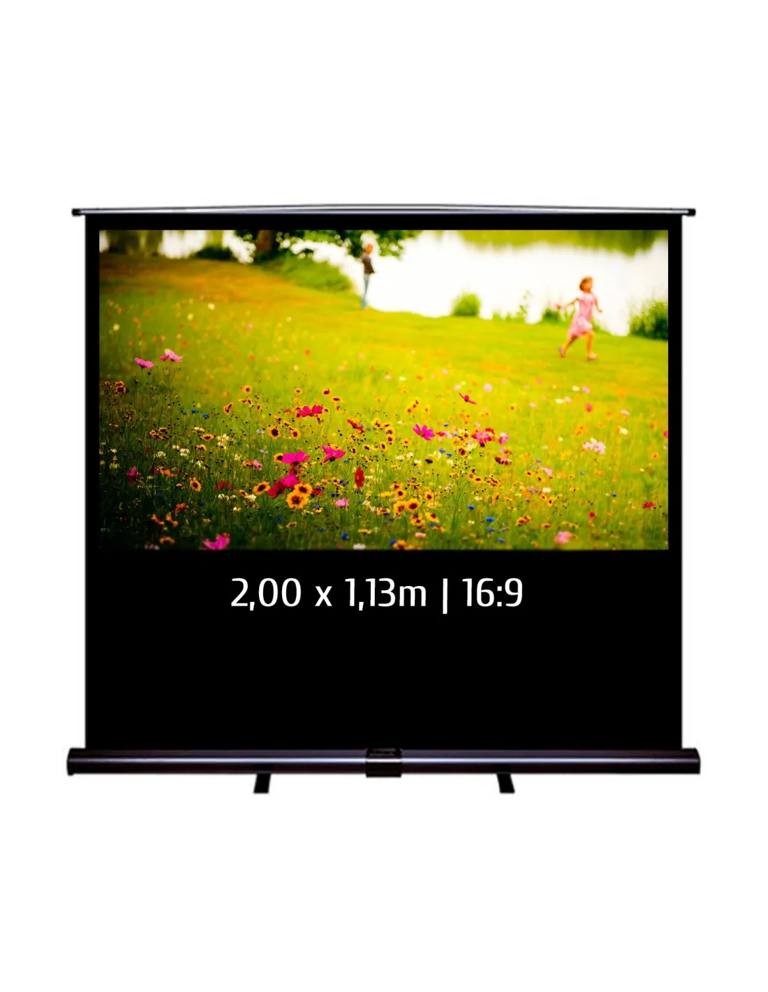 Ecran de projection transportable Pull Up 2,00x1,13m 16:9
