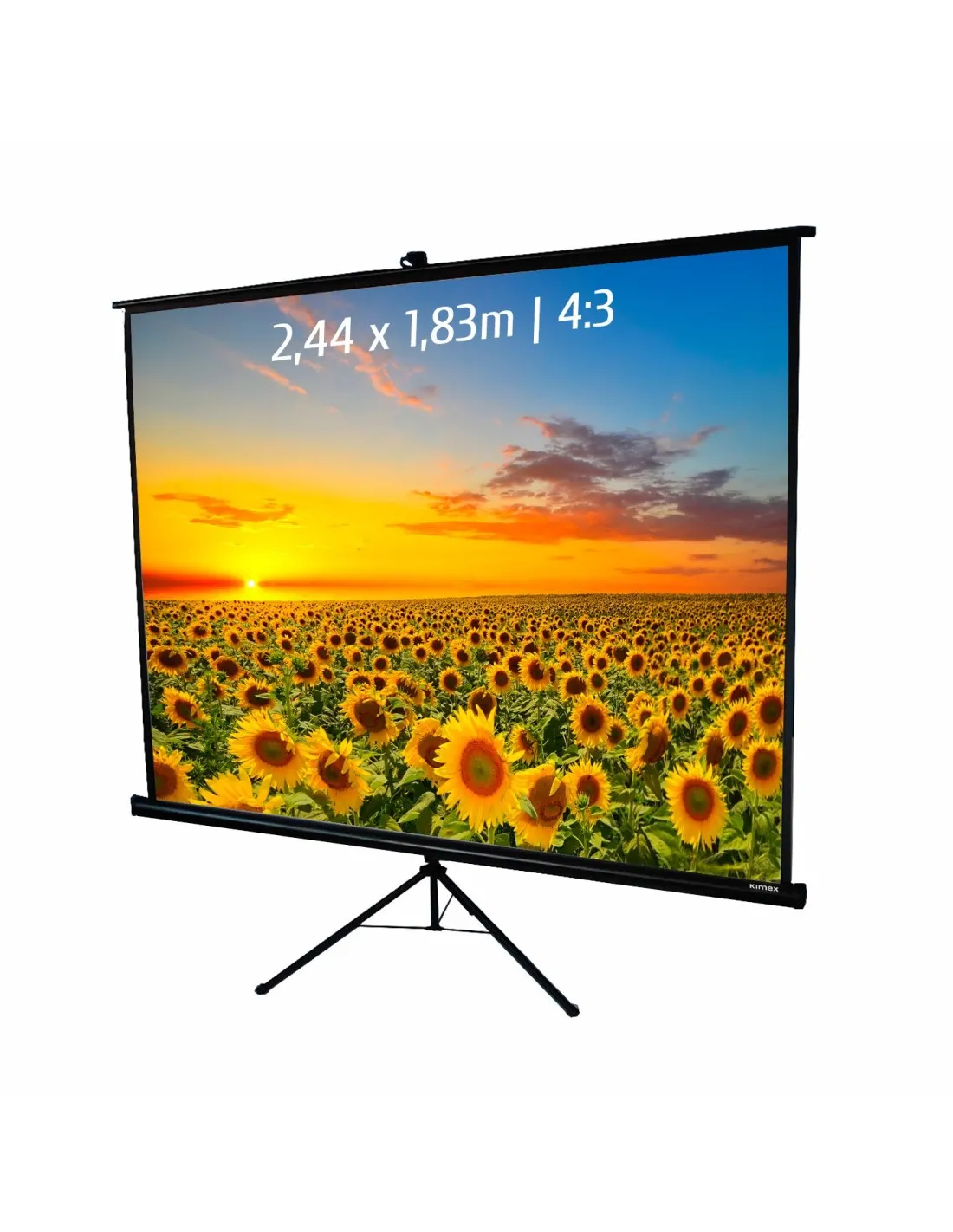 Ecran de projection trépied 2,44x1,83m 4:3