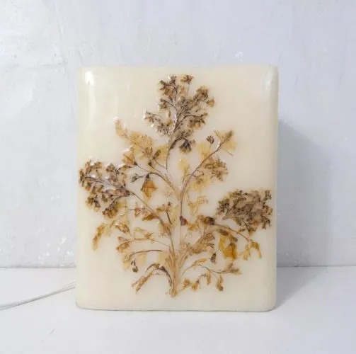 lampe en cire herbier vintage