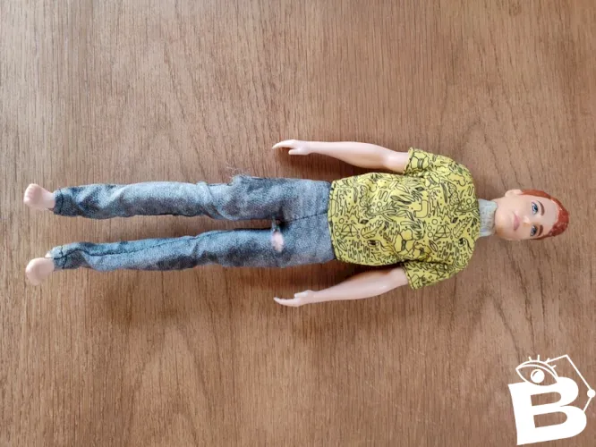 poupee mattel barbie ken 2016 en bon etat