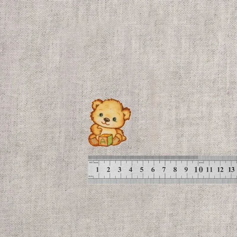 S ecusson petit ours - Cube