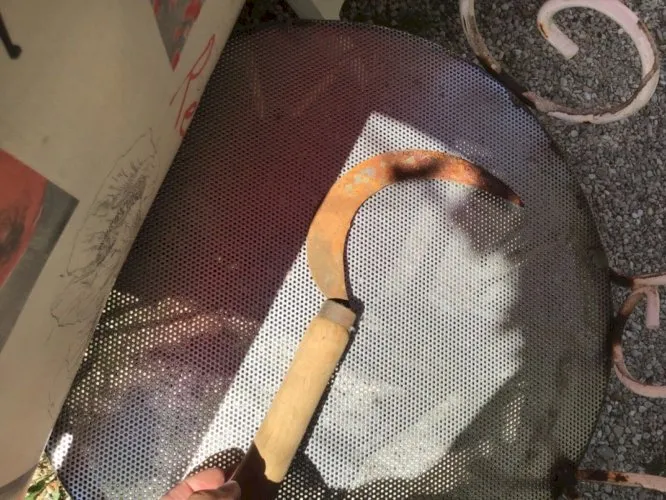 Serpette petite fossille manche bois herboriste Français druide