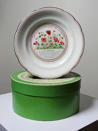 Suite de 8 assiettes à dessert Gien - Les gastronomiques de la santé