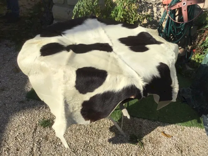 SUPERBE PEAU DE VEAU VACHE 145 cm x 120 CM TAPIS DÉCO CHALET MONTAGNE