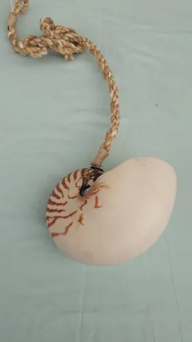 Suspension coquillage