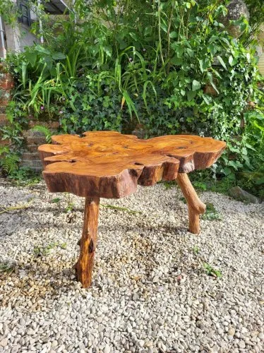Table basse racine olivier style brutaliste