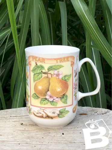 Tasse en porcelaine Anglaise Rose of England