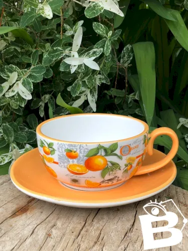 Tasse et soucoupe Jameson & Tailor motifs fruits oranges