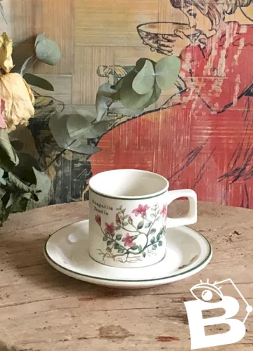 Tasse et soucoupe Made In England Florabunda