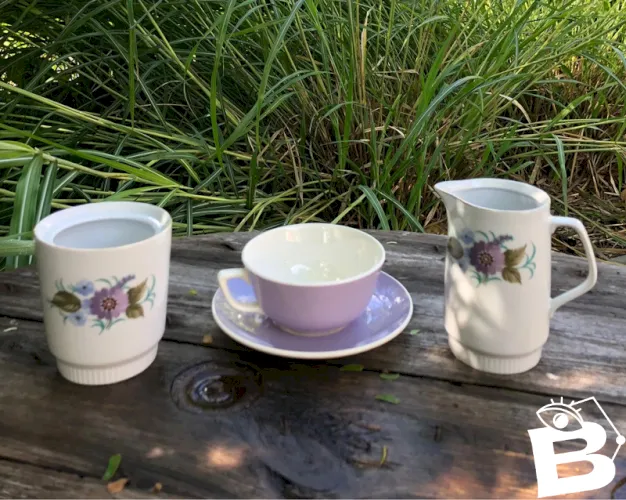 Tasse et soucoupe Villeroy&Boch et pots en porcelaine Colditz
