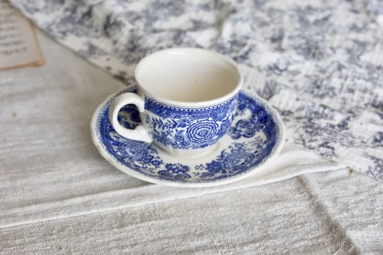 Tasse et soucoupe vintage porcelaine Villeroy & Boch décor « Burgenland »