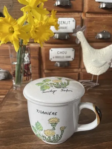 Tasse tisanière motif Tussilago Farfara