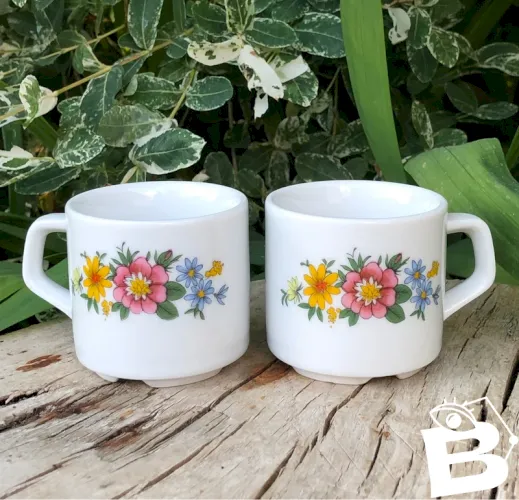 Tasses à expresso vintage en porcelaine Bavaria motifs fleurs