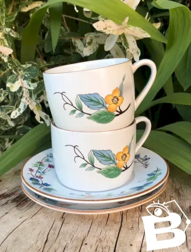 Tasses et soucoupes vintage Woodhill n’