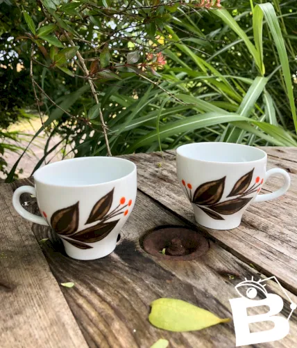 Tasses vintage en porcelaine Bavaria