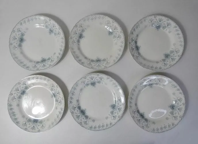 Terre de fer 6 assiettes plates CYCLAMEN .