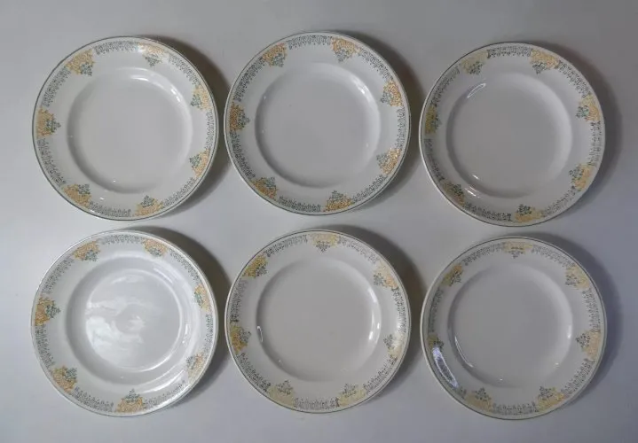 terre de fer 6 assiettes plates SAVIGNY