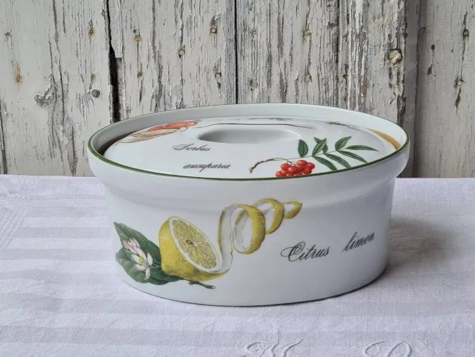 Terrine ovale porcelaine à feu Apilco , Elysian Garden ,France