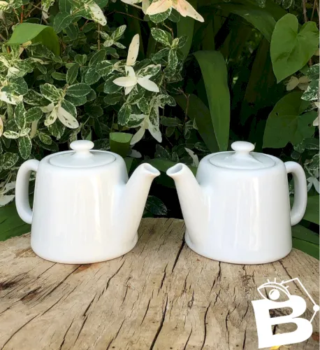 Théières individuelles blanches en porcelaine Pillivuyt